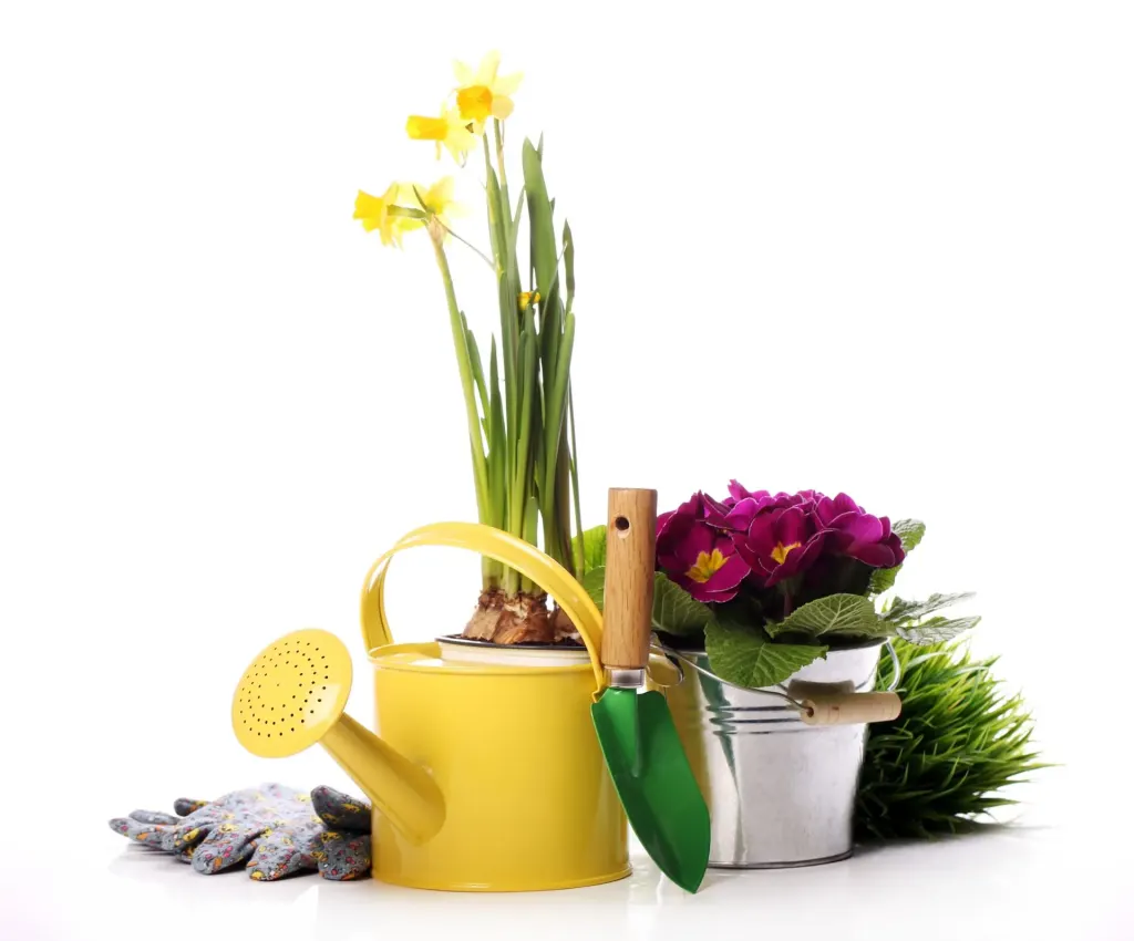 Annaffiatoio, piante fiorite e attrezzi da giardinaggio