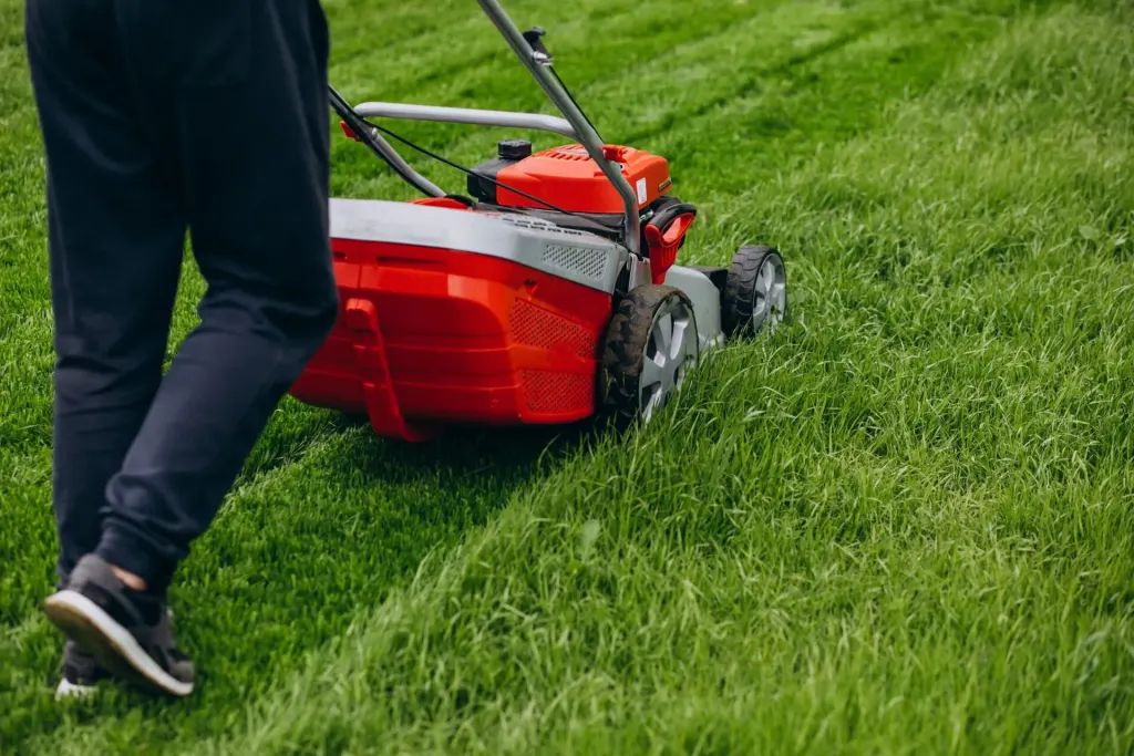 Giardiniere taglia il prato con un tosaerba